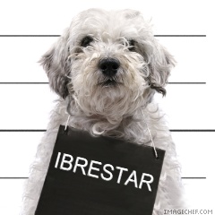 ibre.star